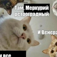 Белые Берега